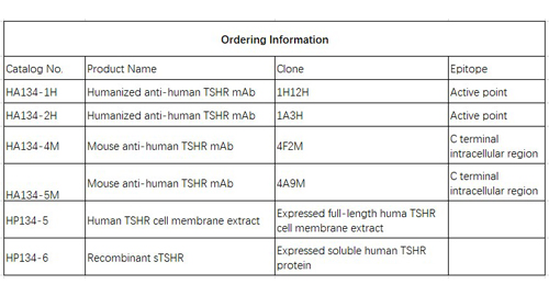 Anti-TSHR umani mAb