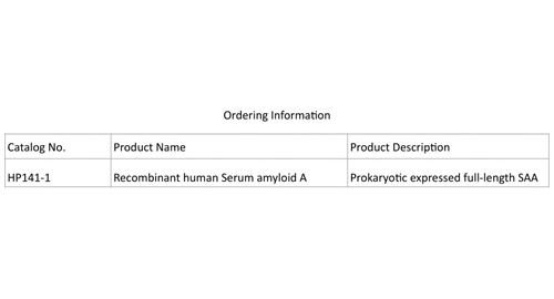 Ricombinante Umano Siero Amyloid UN (SAA)